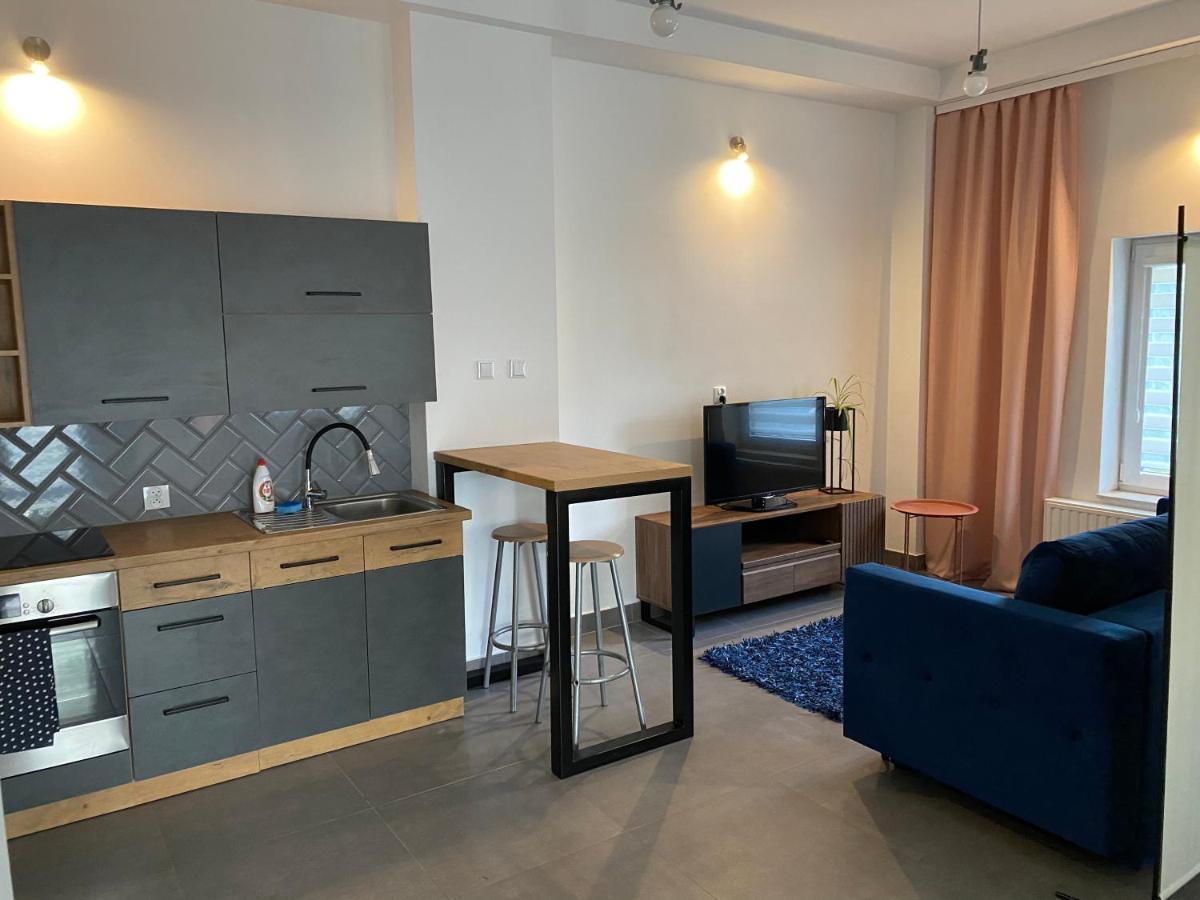 Dwikozy Apartamenty Pod Wierzbami מראה חיצוני תמונה
